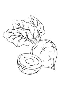 desenho de beterraba legumes para colorir