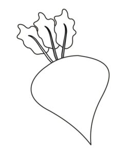 desenho de beterraba simples para colorir