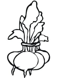 desenho de beterrabas para colorir