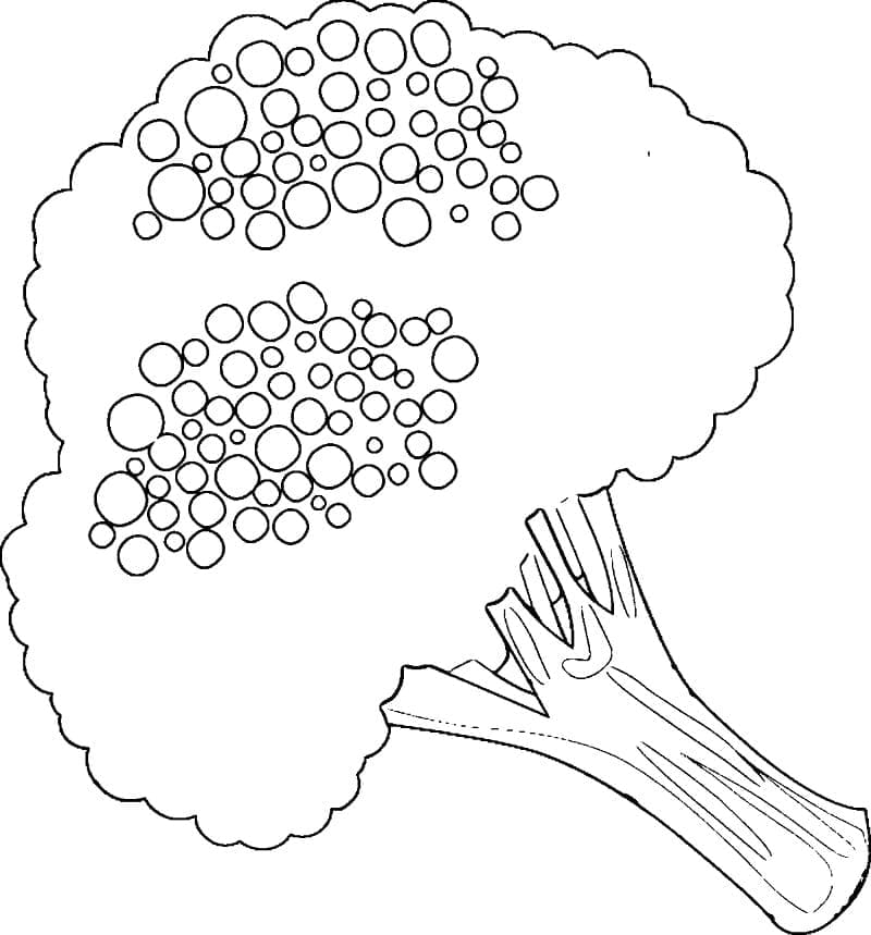 desenho de brócolis para pintar e colorir