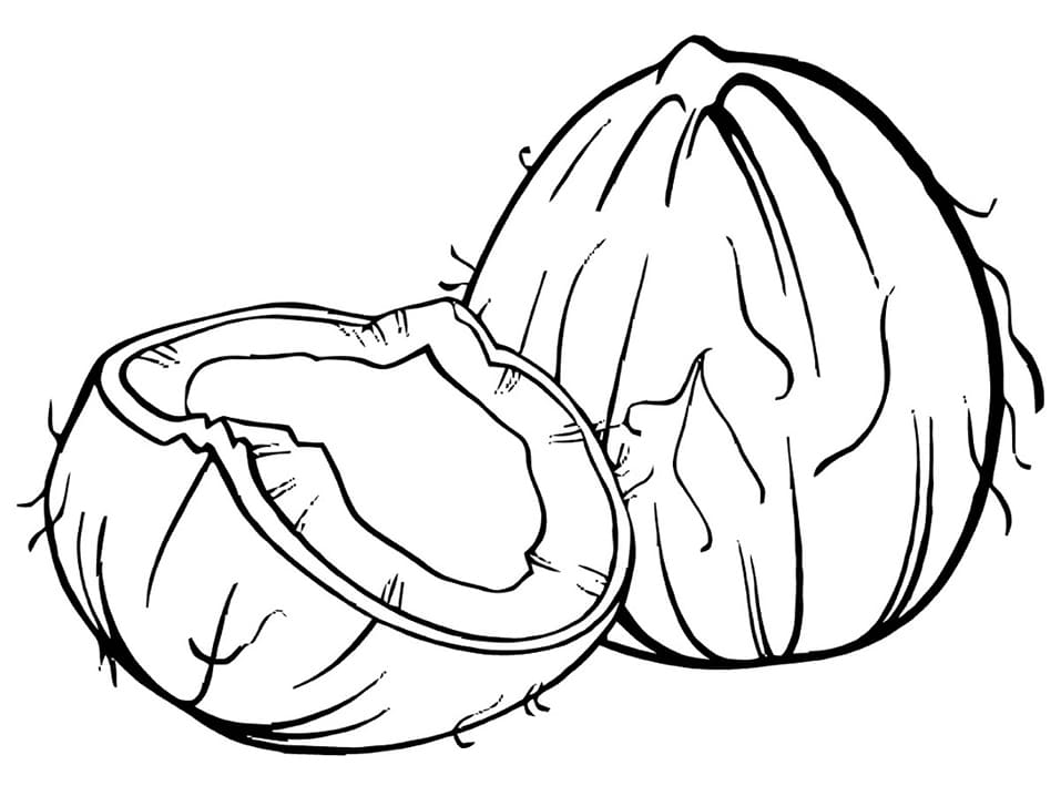 desenho de coco realista para imprimir e colorir