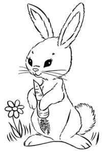 desenho de coelho comendo cenoura para colorir pdf