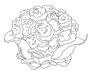 desenho de couve flor kawaii para colorir