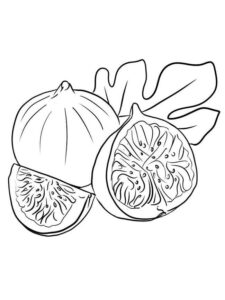 desenho de figo para colorir em pdf