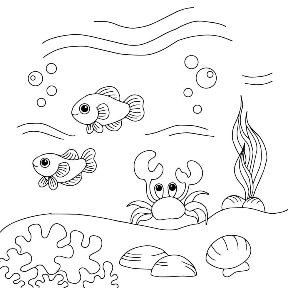 desenho de fundo do mar para crianças de 3º ano para colorir