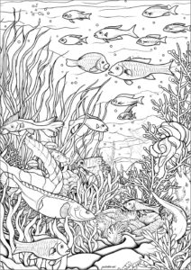 desenho de fundo do mar realista para crianças para colorir