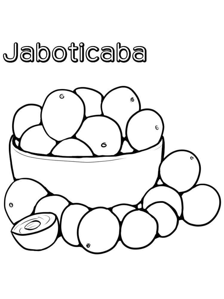 desenho de jabuticaba para colorir e imprimir