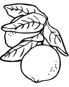 desenho de limão para crianças colorirem