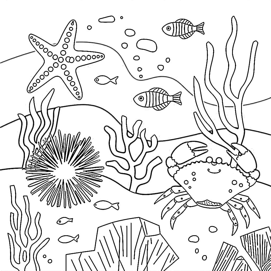 desenho de paisagem do fundo do mar para colorir em pdf