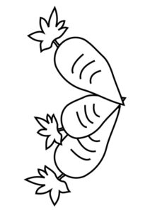 desenho de três cenouras para imprimir e pintar