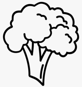 desenho de vegetal brócolis para colorir