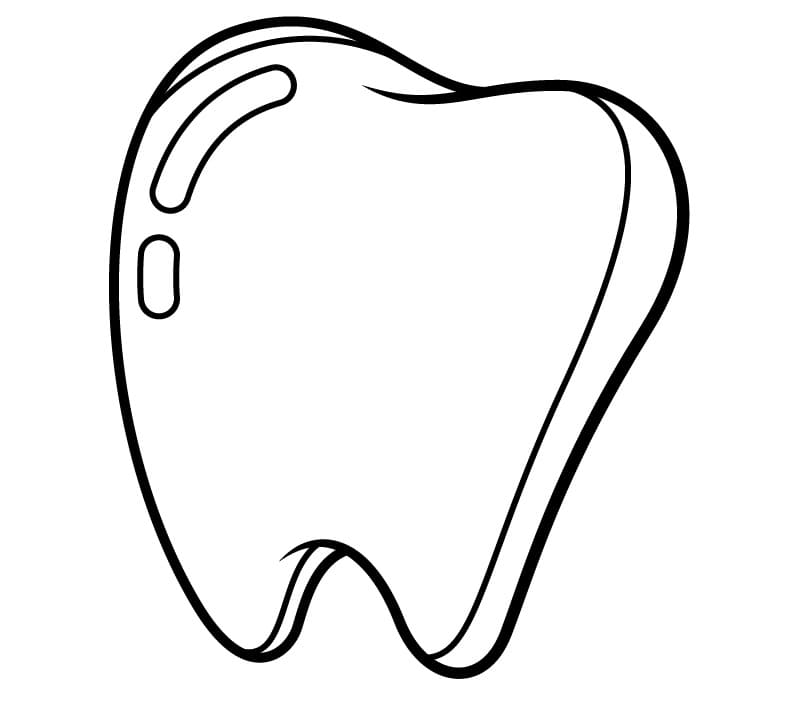 desenho perfeito de dente para imprimir e colorir gratuitamente