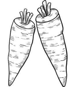 desenho duas cenouras para colorir e imprimir