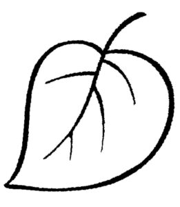 desenho folha normal para baixar