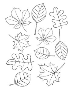 desenho folhas de outono para colorir com lápis de cor