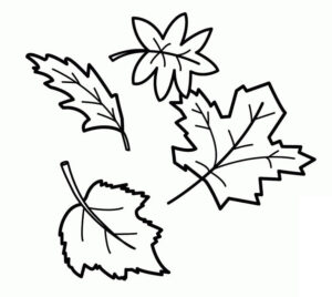 desenho folhas de outono para imprimir e pintar