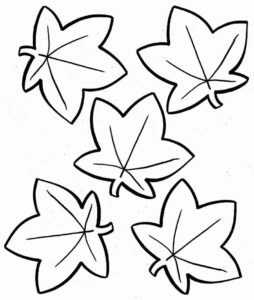 desenho folhas de outono para pintar