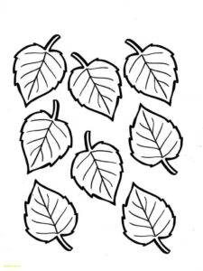 desenho folhas lindas de outono para colorir