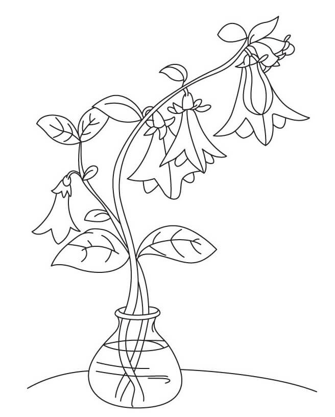 desenho linda campânula para colorir