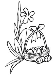 desenho lírio do campo colorir