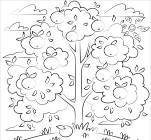 desenho macieira atividade educativa