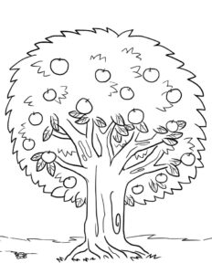desenho macieira atividade infantil