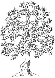 desenho macieira bonita para colorir