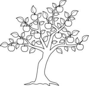 desenho macieira com frutos para colorir
