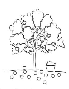 desenho macieira completa