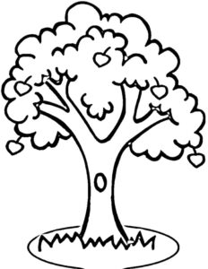 desenho macieira de primavera para colorir