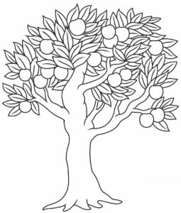 desenho macieira normal para imprimir
