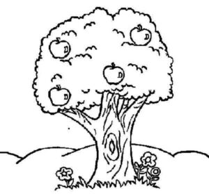 desenho macieira pdf