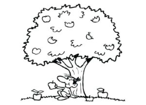 desenho macieira realista para colorir