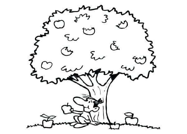 desenho macieira realista para colorir