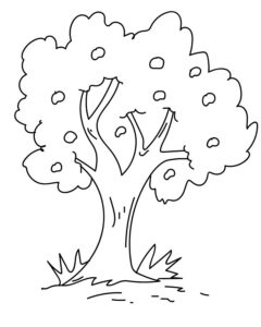 desenho macieira simples para colorir
