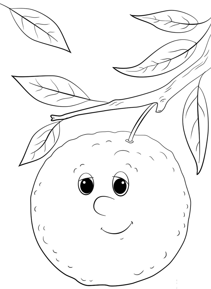 desenho para imprimir fruta laranja em pdf