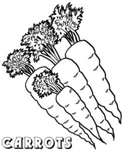 desenho quatro cenouras para colorir grátis