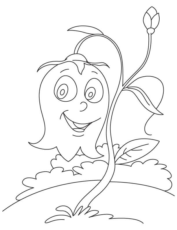 desenhos de campânula para imprimir e colorir