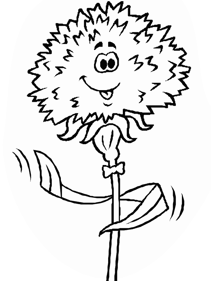 desenhos de carnation para imprimir e colorir