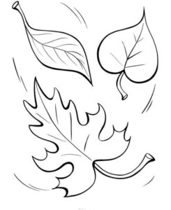 desenhos de folhas de natureza para colorir