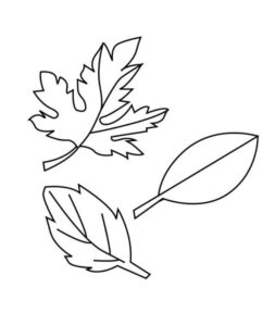 desenhos de folhas de verão para colorir