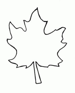 desenhos de folhas para adultos para colorir