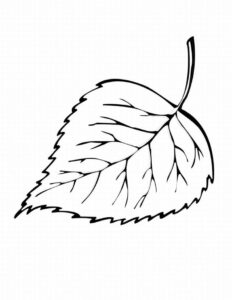 desenhos de folhas para pintar