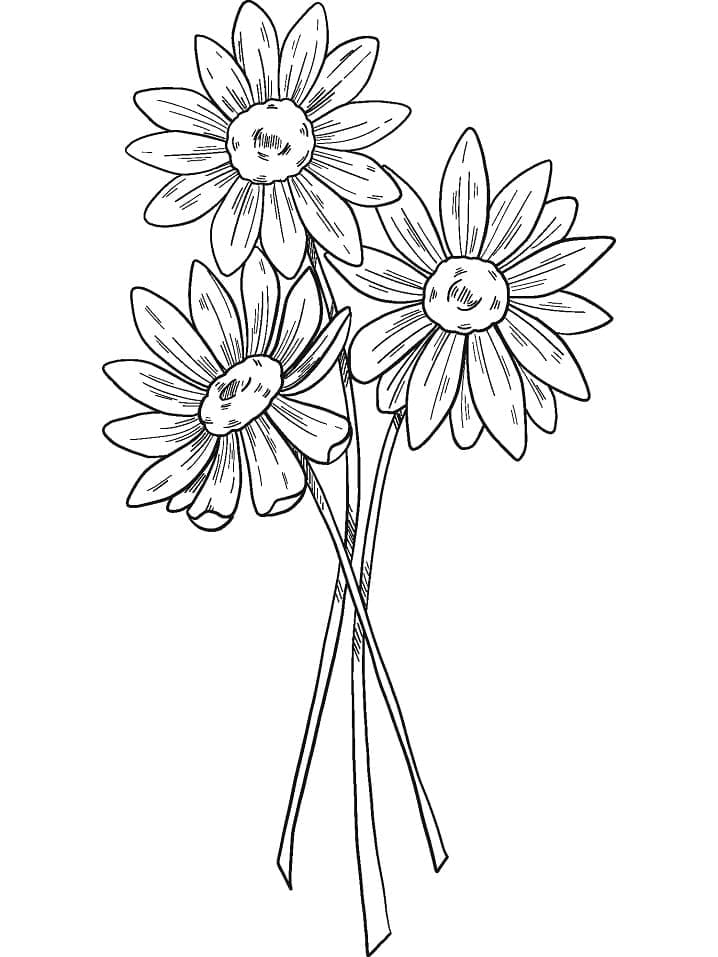 desenhos simples de buquê para imprimir e pintar