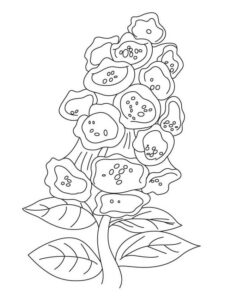 flores campânula para colorir