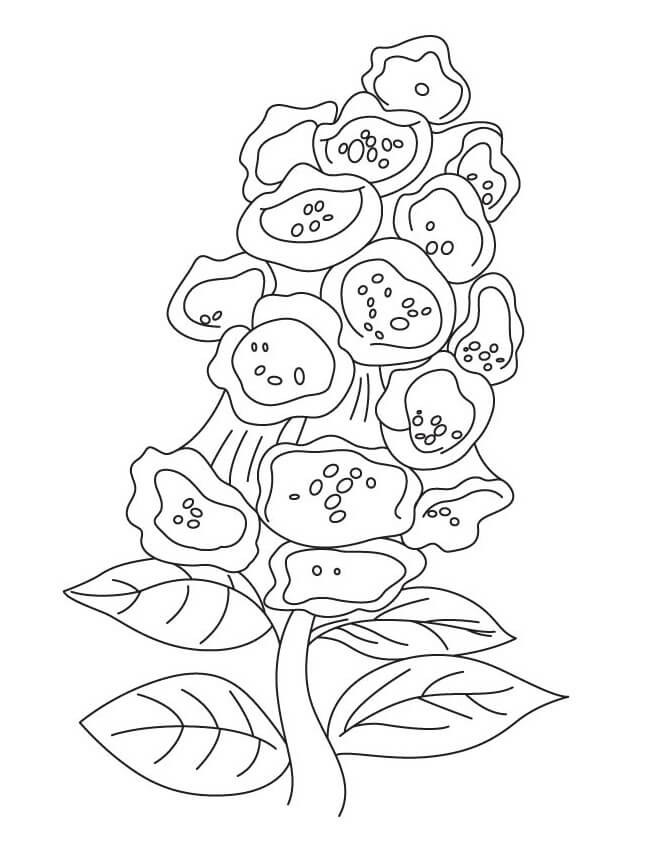 flores campânula para colorir
