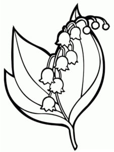 flores de campânula para pintar