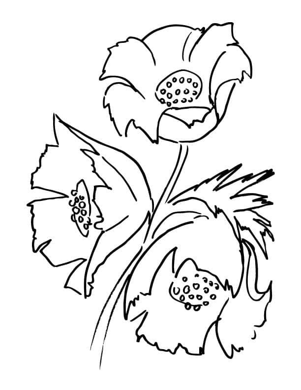 flores em buquê para imprimir e pintar