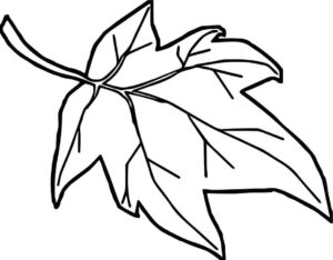 ilustração desenhos de folhas para baixar