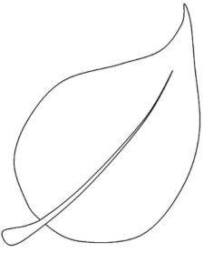 livro para colorir de folhas em pdf